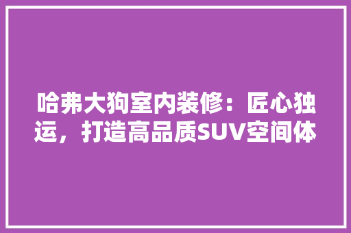 哈弗大狗室内装修：匠心独运，打造高品质SUV空间体验 卧室装修