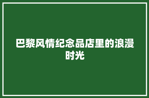 巴黎风情纪念品店里的浪漫时光