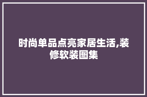 时尚单品点亮家居生活,装修软装图集