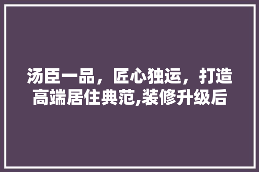 汤臣一品，匠心独运，打造高端居住典范,装修升级后的华丽蜕变