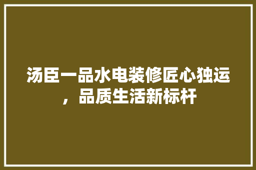 汤臣一品水电装修匠心独运，品质生活新标杆