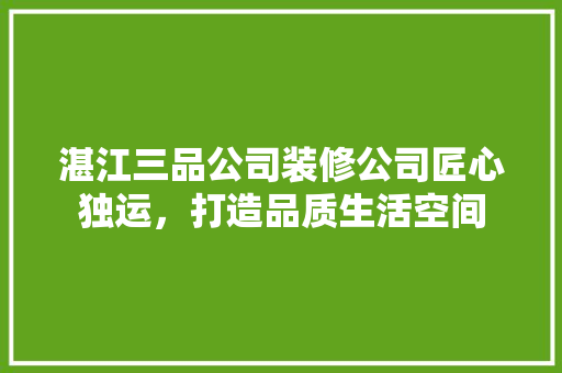 湛江三品公司装修公司匠心独运，打造品质生活空间