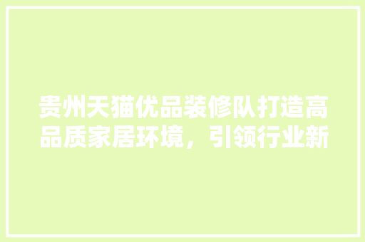 贵州天猫优品装修队打造高品质家居环境，引领行业新风尚