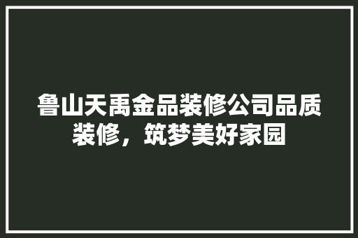 鲁山天禹金品装修公司品质装修，筑梦美好家园