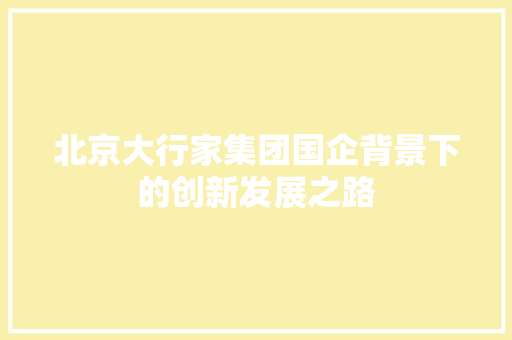 北京大行家集团国企背景下的创新发展之路