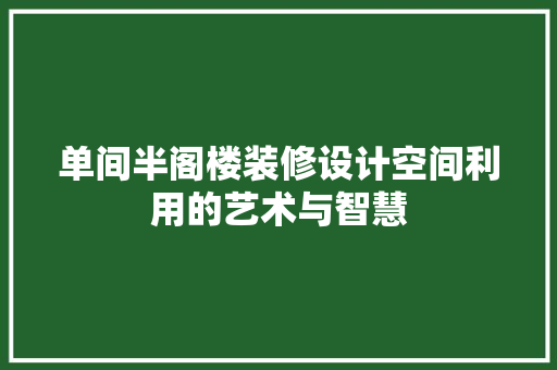 单间半阁楼装修设计空间利用的艺术与智慧