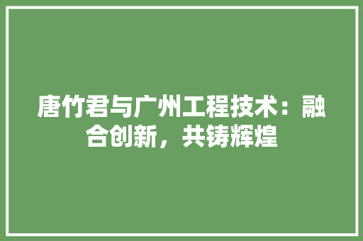 唐竹君与广州工程技术：融合创新，共铸辉煌 卧室装修