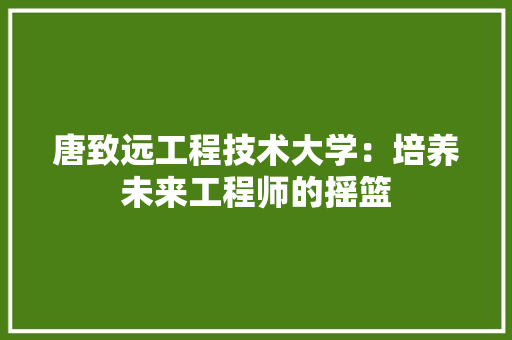 唐致远工程技术大学：培养未来工程师的摇篮 卧室装修