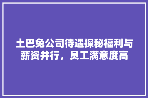 土巴兔公司待遇探秘福利与薪资并行，员工满意度高
