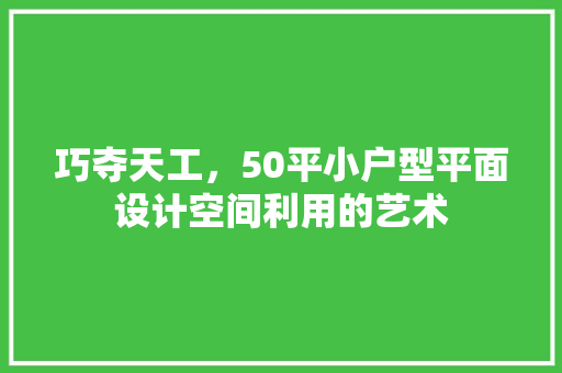 巧夺天工，50平小户型平面设计空间利用的艺术