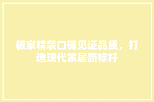 极家精装口碑见证品质，打造现代家居新标杆