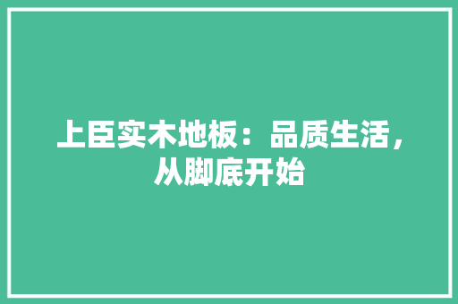 上臣实木地板：品质生活，从脚底开始