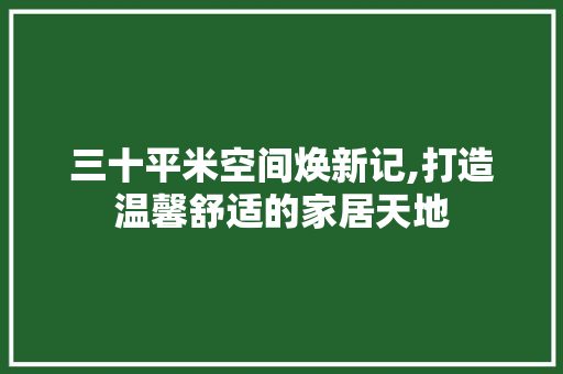 三十平米空间焕新记,打造温馨舒适的家居天地