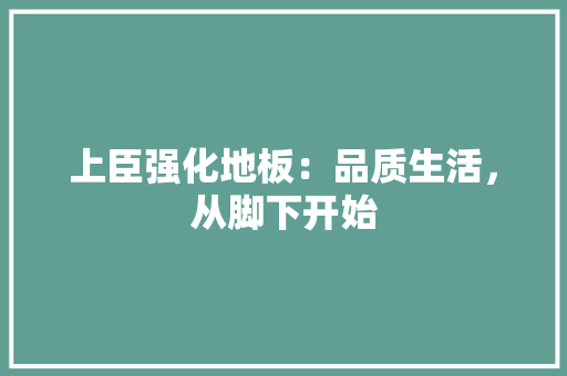 上臣强化地板：品质生活，从脚下开始 家居装修