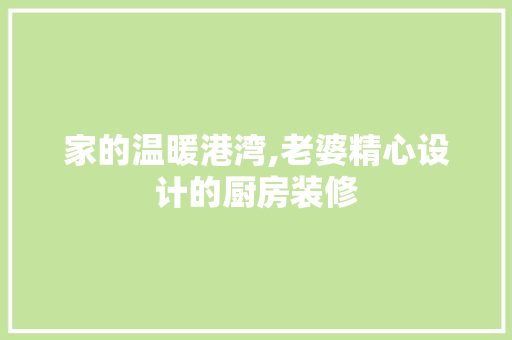 家的温暖港湾,老婆精心设计的厨房装修