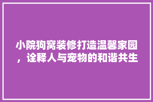 小院狗窝装修打造温馨家园，诠释人与宠物的和谐共生