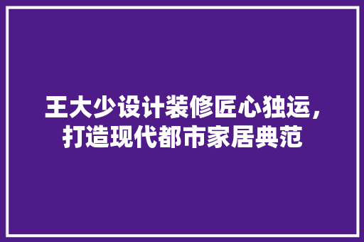 王大少设计装修匠心独运，打造现代都市家居典范