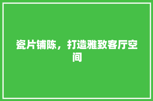 瓷片铺陈，打造雅致客厅空间