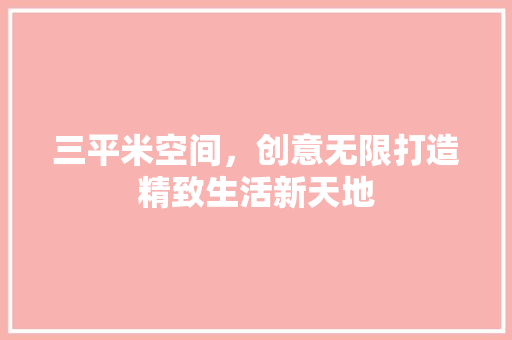 三平米空间，创意无限打造精致生活新天地