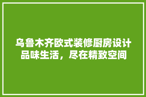 乌鲁木齐欧式装修厨房设计品味生活，尽在精致空间