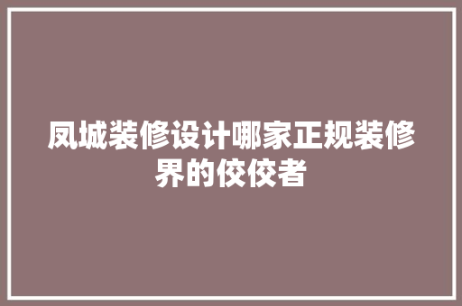 凤城装修设计哪家正规装修界的佼佼者