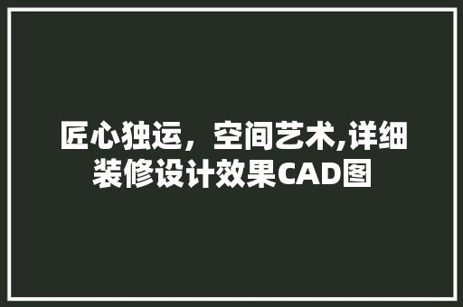 匠心独运，空间艺术,详细装修设计效果CAD图