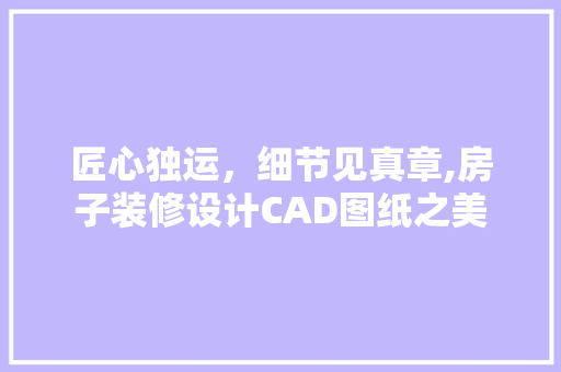 匠心独运，细节见真章,房子装修设计CAD图纸之美