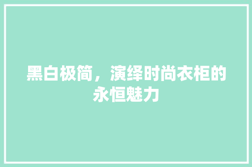 黑白极简，演绎时尚衣柜的永恒魅力