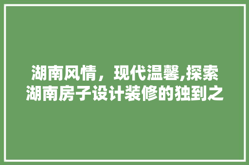 湖南风情，现代温馨,探索湖南房子设计装修的独到之处