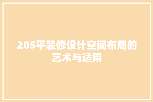 205平装修设计空间布局的艺术与适用