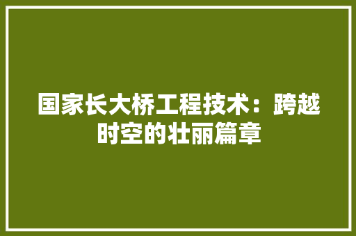 国家长大桥工程技术：跨越时空的壮丽篇章 现代风格装饰