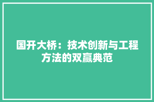 国开大桥：技术创新与工程方法的双赢典范 现代风格装饰