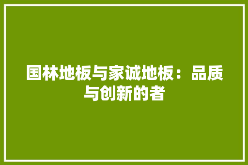 国林地板与家诚地板：品质与创新的者 现代风格装饰