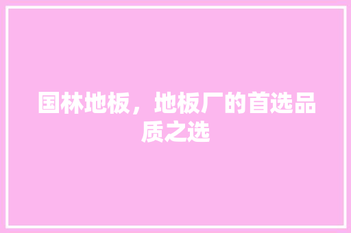国林地板，地板厂的首选品质之选 现代风格装饰