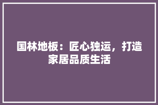 国林地板：匠心独运，打造家居品质生活 现代风格装饰