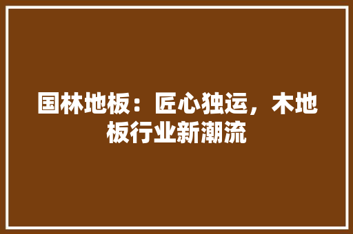 国林地板：匠心独运，木地板行业新潮流 现代风格装饰