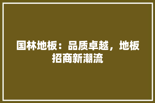 国林地板：品质卓越，地板招商新潮流 现代风格装饰