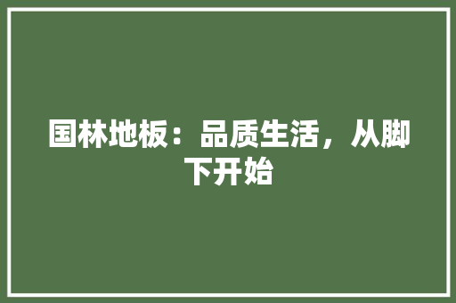 国林地板：品质生活，从脚下开始 现代风格装饰