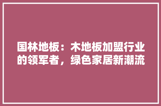 国林地板：木地板加盟行业的领军者，绿色家居新潮流 现代风格装饰