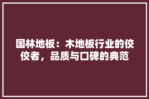 国林地板：木地板行业的佼佼者，品质与口碑的典范 现代风格装饰