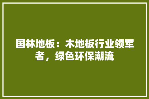 国林地板：木地板行业领军者，绿色环保潮流 现代风格装饰