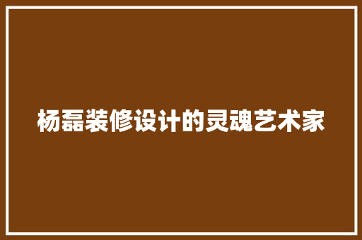 杨磊装修设计的灵魂艺术家