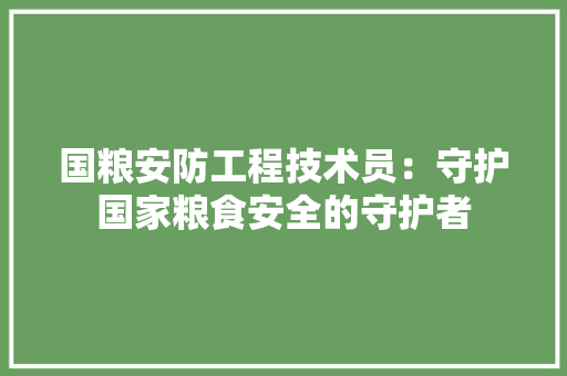 国粮安防工程技术员：守护国家粮食安全的守护者 现代风格装饰
