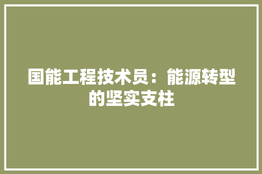 国能工程技术员：能源转型的坚实支柱 现代风格装饰