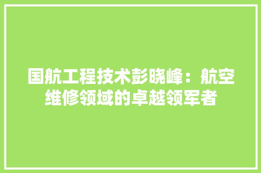 国航工程技术彭晓峰：航空维修领域的卓越领军者 现代风格装饰