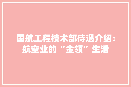 国航工程技术部待遇介绍：航空业的“金领”生活 现代风格装饰
