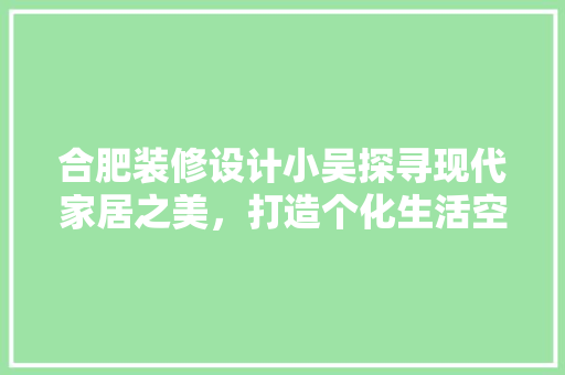 合肥装修设计小吴探寻现代家居之美，打造个化生活空间