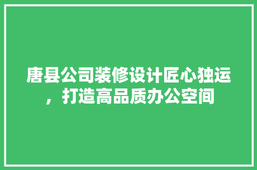唐县公司装修设计匠心独运，打造高品质办公空间