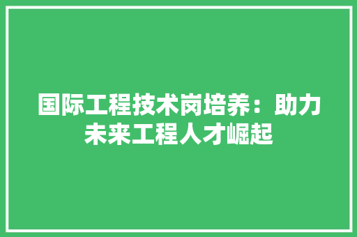 国际工程技术岗培养：助力未来工程人才崛起