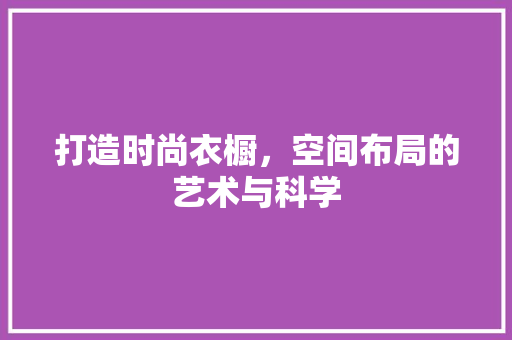 打造时尚衣橱，空间布局的艺术与科学